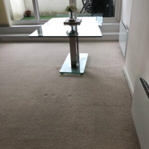 carpet professions in london | Carpet Cleaning Cricklewood