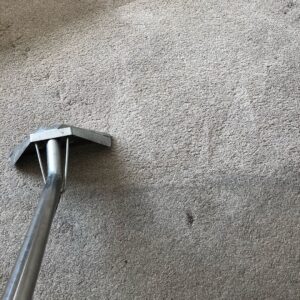 expert carpet cleaning london | Carpet Cleaning Cricklewood