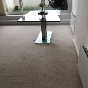carpet cleaning Ealing W5