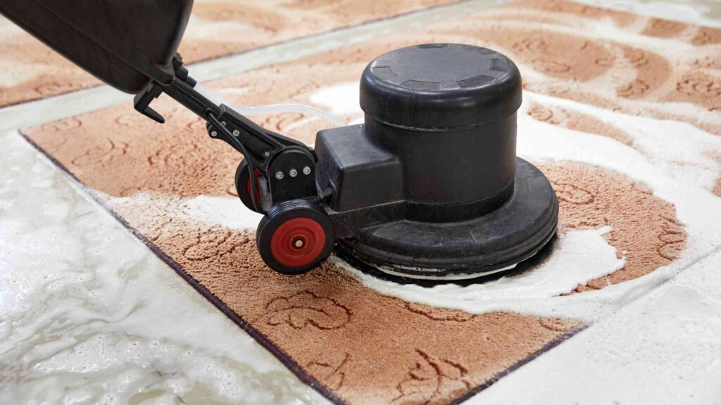 Expert Rug Cleaning Services